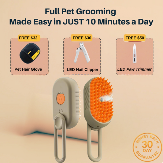 Steam Pet Brush
