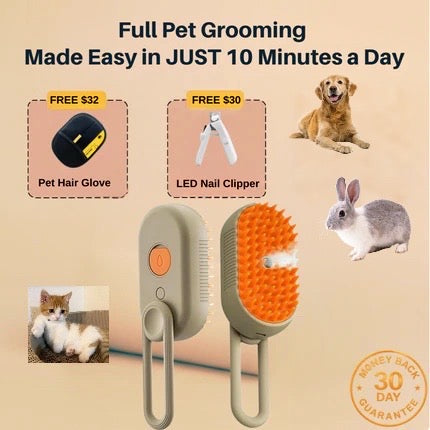 Steam Pet Brush