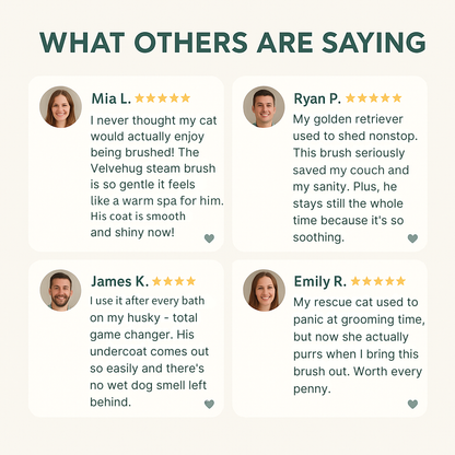 At-Home Pet Grooming Solution