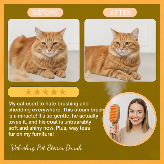 The 10-Minute At-Home Pet Grooming System